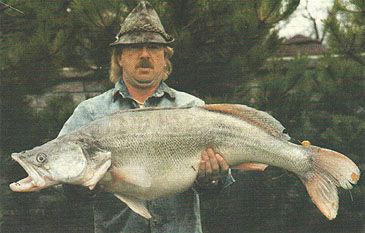 nachytano.cz